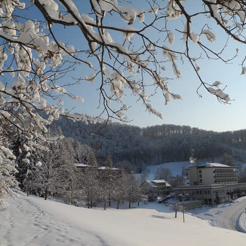 Bad-Ramsach-Quellhotel_Laeufelfingen_Winter_3.jpg